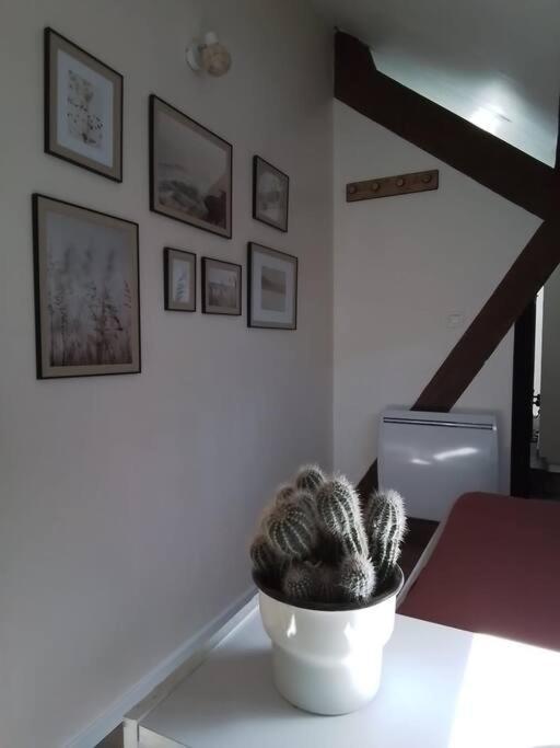 Charmante Petite Maison Vieux  Екстер'єр фото